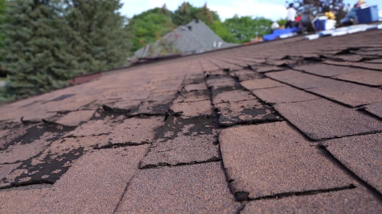 Best Roof Leak Repair  in Woodbury, NY